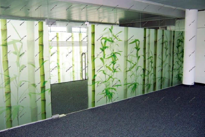 УФ-печать на стеклянной перегородке - бамбуковый лес